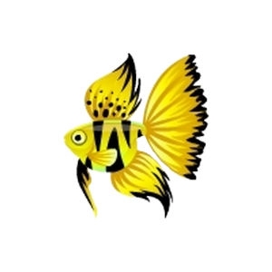 Yellow Tiger Dreamfish